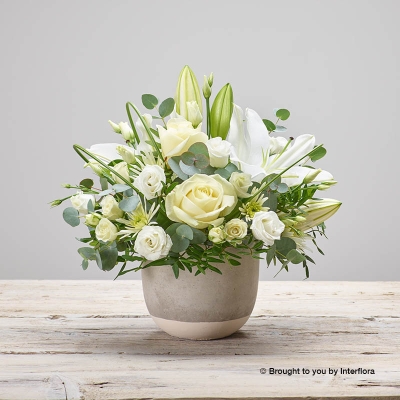 WHITE & GREEN SYMPATHY VASE