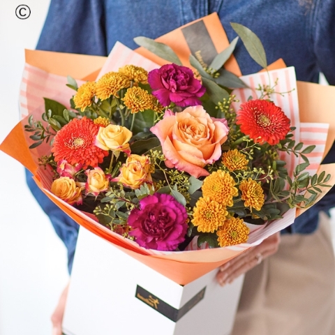 Petals - Most Popular