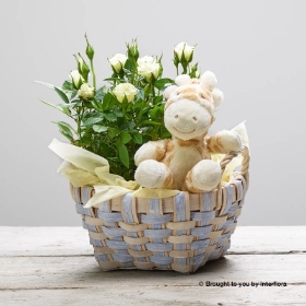 White Rose Baby Basket